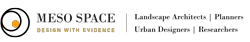 mesospace logo