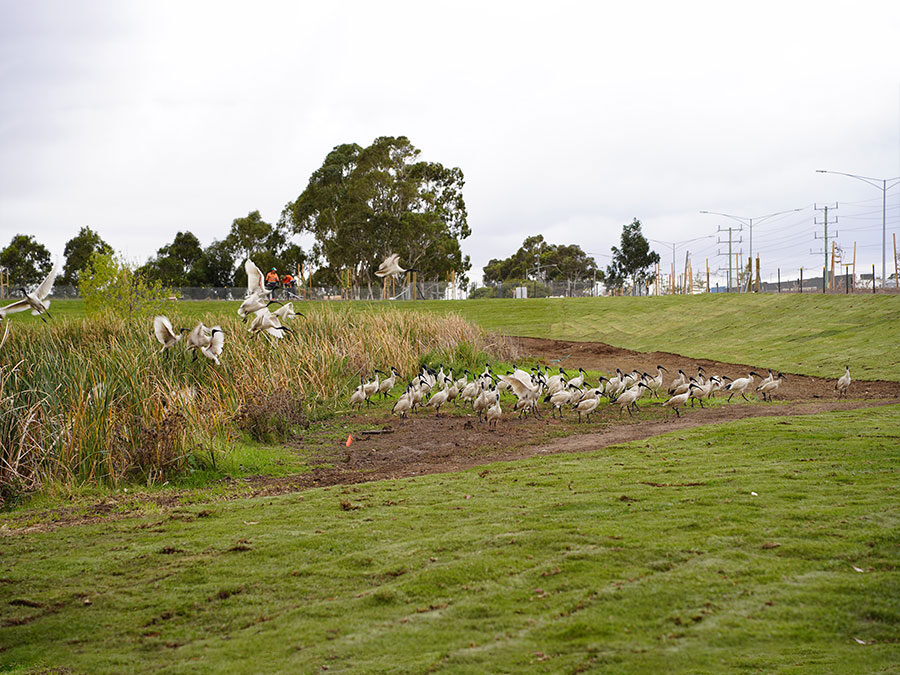 Altona Memorial Park Entry Mounds Inventory