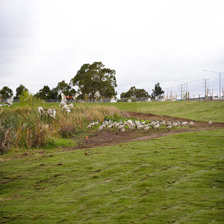 Altona Memorial Park Entry Mounds & Inventory Design