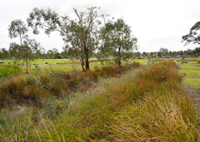 Snow Gum A – WSUD-Integrated Burial Landscape