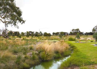 Snow Gum B – Self-Sustaining Memorial Landscape