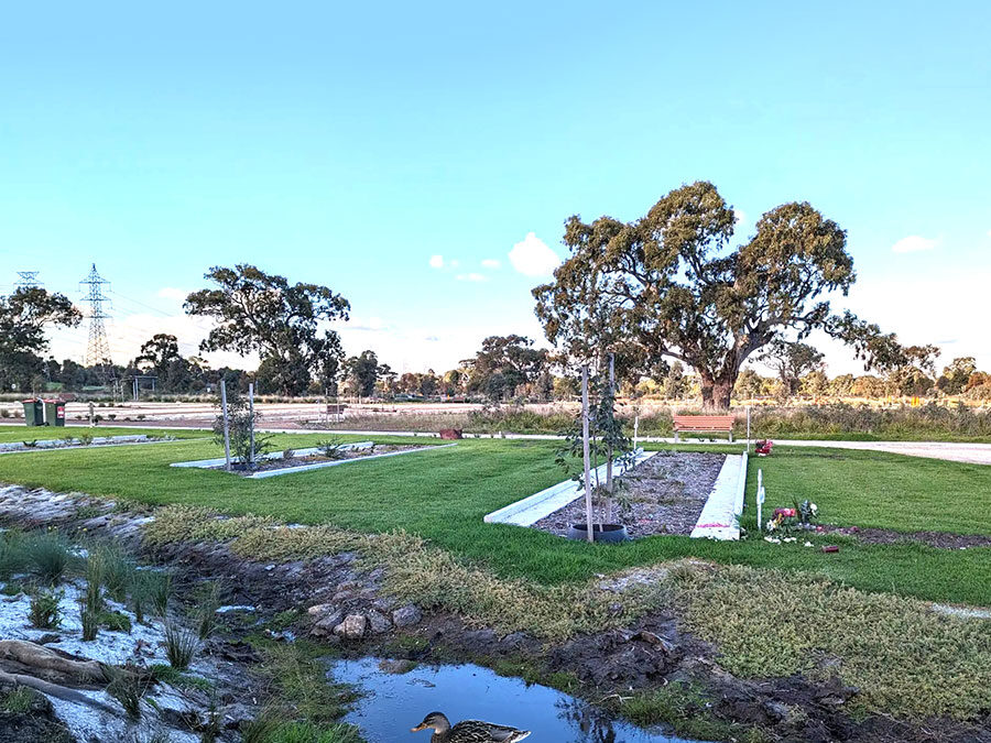 Snow Gum B | Water-Sensitive Urban Design (WSUD) and Specialist Aquatic Planting Focus
